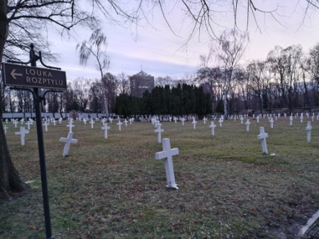 Olšany hroby1sv.jpg